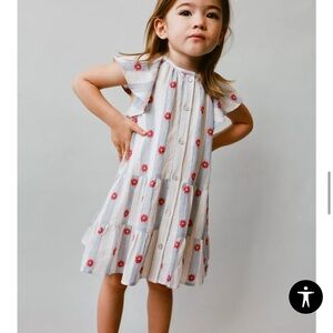 Zara Baby Floral Jacquard Striped Kids Dress